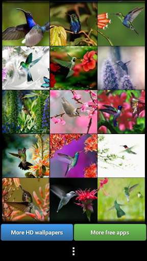 Hummingbirds HD Wallpaper screenshot 2