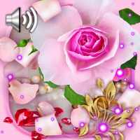 Love Roses Live Wallpaper on 9Apps