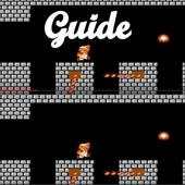 Guide For Super Mario Bros 1.0