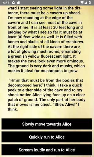 Derek Banter -  Text adventure (CYOA) RPG screenshot 2