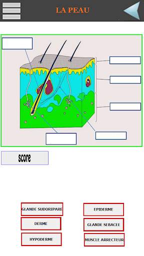 QCM Biologie Pour Concours screenshot 5