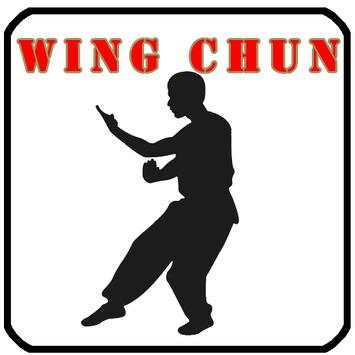 Wing Chun Training screenshot 1
