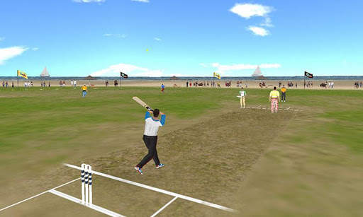 Beach Cricket screenshot 2