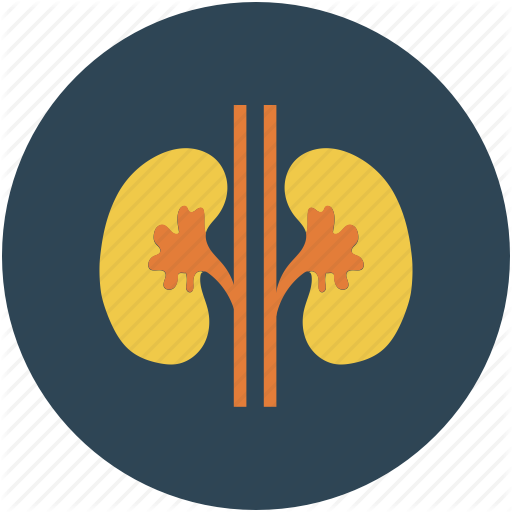 Nephrology Secrets иконка