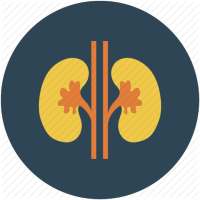 Nephrology Secrets on 9Apps