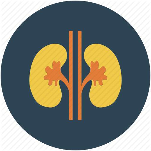 Nephrology Secrets 2.2