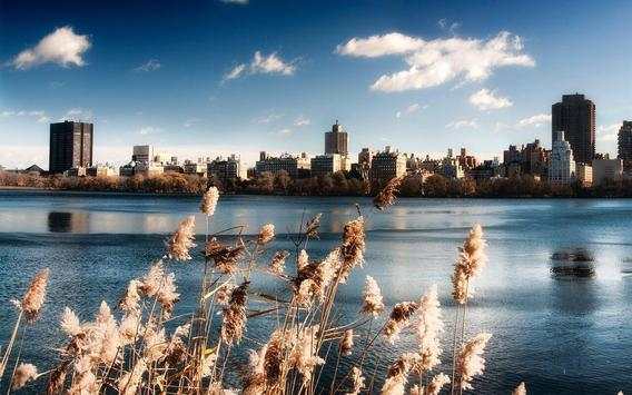 Boston Wallpapers screenshot 9