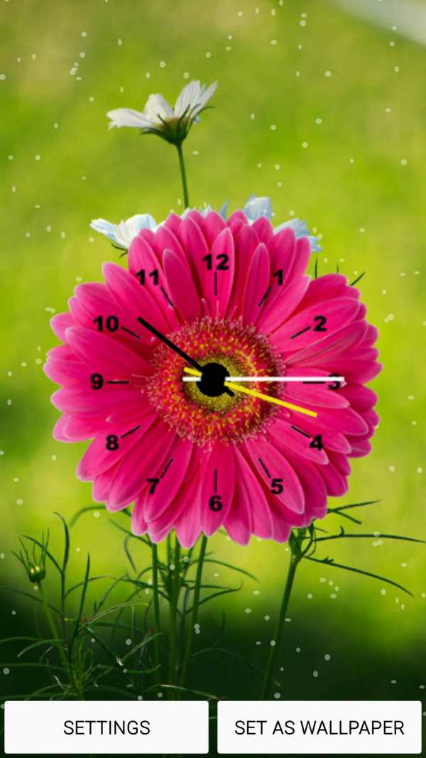 Flowers Clock Live Wallpaper screenshot 7