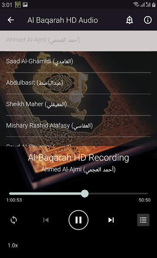 Surah Al Baqarah MP3 - ONLINE VERSION screenshot 4