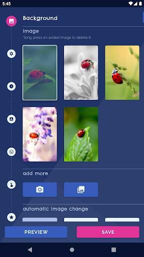 Cute Ladybug Live Wallpaper screenshot 1