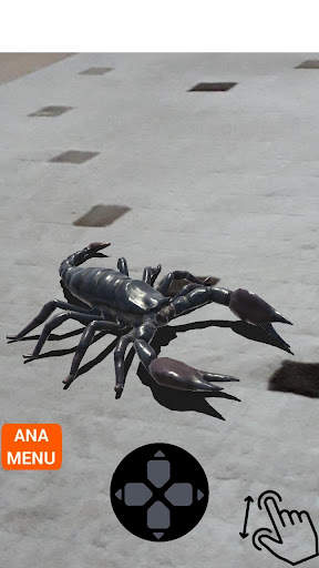 3d Animals camera Augmented Reality screenshot 2