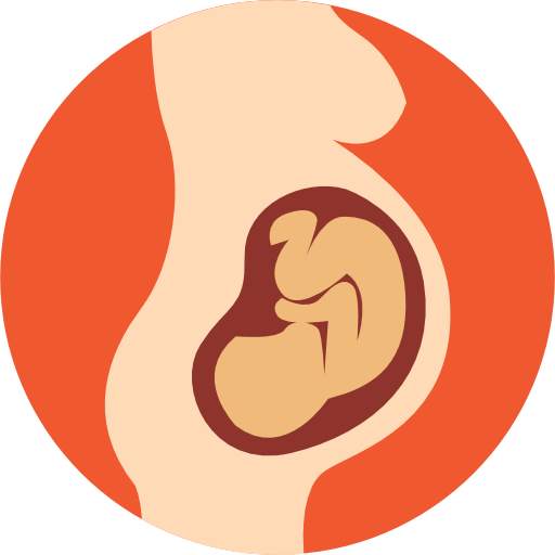 Khmer Pregnancy Mom 4.0