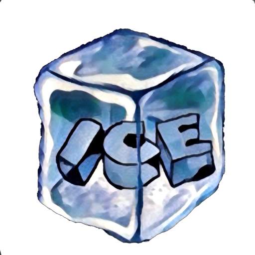 ICE 1.3.13
