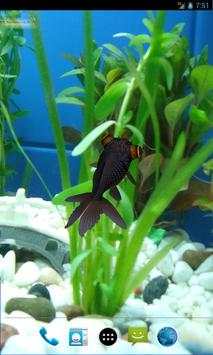 3D Goldfish Live Wallpaper screenshot 3