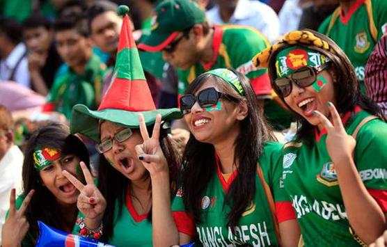 BCB Tiger Cricket screenshot 16