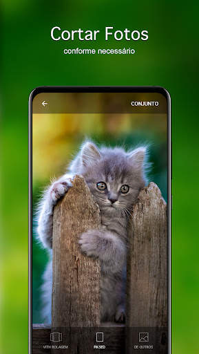 Papéis de parede com gatinhos screenshot 4