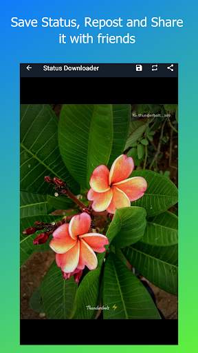 Status Downloader for WhatsApp - Save Status screenshot 1