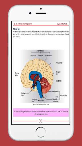 Biology 10 English Medium Textbook (Offline) screenshot 4