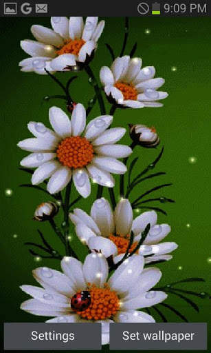 White Flowers Beauty LWP screenshot 1