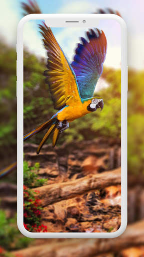 Bird Wallpaper HD screenshot 6