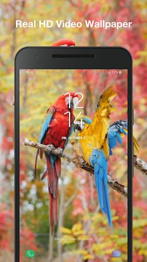 Beauty Birds Wallpaper Pro screenshot 2