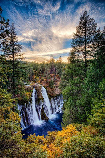 Free Puzzles For Adults screenshot 4