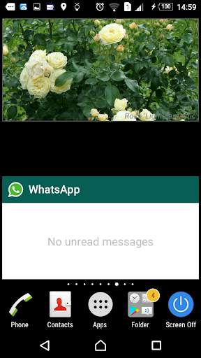 Gardener's roses screenshot 5