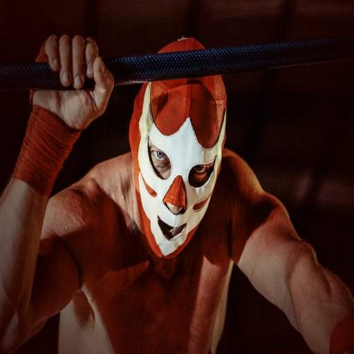 WWe Wrestling 9.8