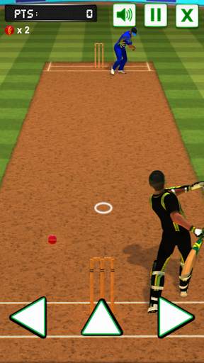 Cricket Batting Challenge screenshot 3
