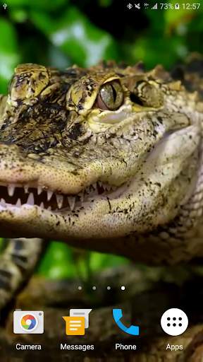 Crocodile Live Wallpaper screenshot 6