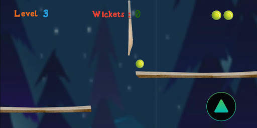 Cricket Ball : New Cricket Game screenshot 2