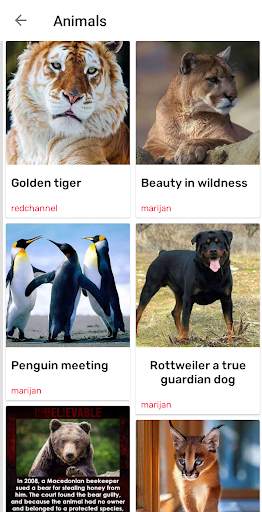 Red - social network, share and find content 👍 screenshot 3