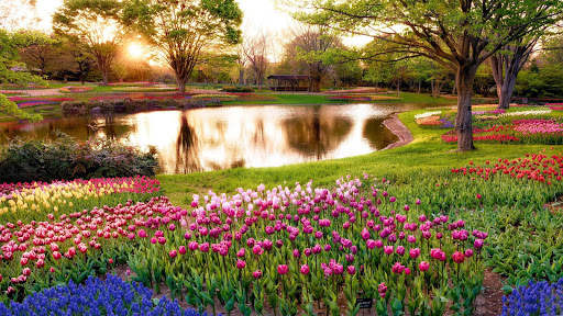 Garden HD Wallpaper screenshot 1