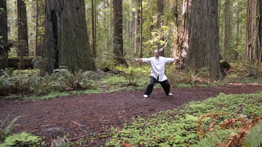 Tai Chi Sword for Beginners (YMAA) screenshot 10