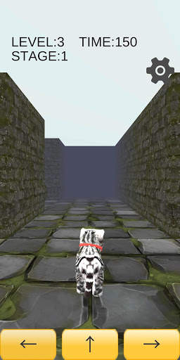 Cat Cat Maze 3D screenshot 4