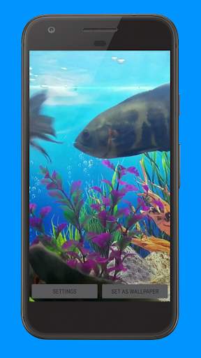 Oscar Fish Aquarium Video 3D screenshot 7