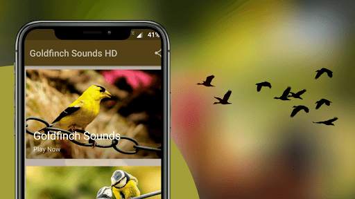 Goldfinch Sounds - Goldfinch bird calls screenshot 1