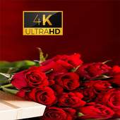 Rose Flower 3D Wallpaper 1.0