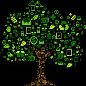 Money Tree 14.0