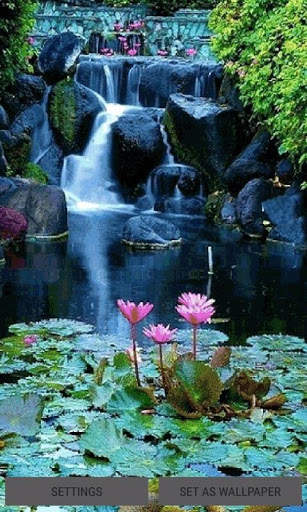 Lotus Garden Live Wallpaper screenshot 1