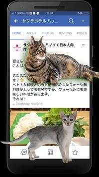 Cat On Screen screenshot 3