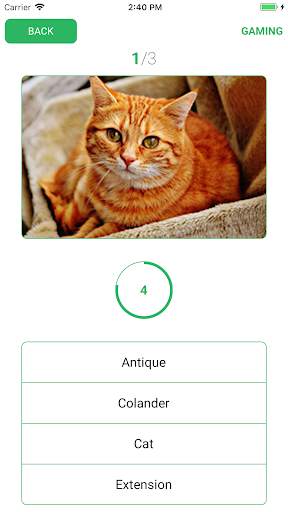 Anki Flashcards 2 screenshot 7