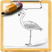 How To Draw Birds 1.0