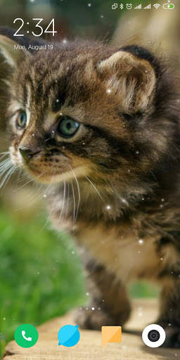 Cat Live Wallpaper screenshot 2