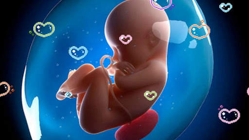PREGNANCY MUSIC COLLECTION screenshot 1