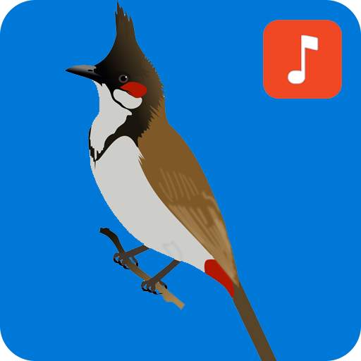 Bulbul Bird Ringtones 1.0.2