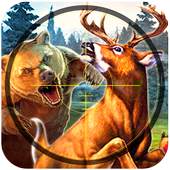 Wild Animal King Hunting: Sniper Shot Adventure 3D 1.0