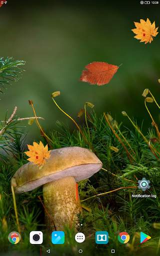 Beautiful Autumn Live Wallpaper screenshot 9