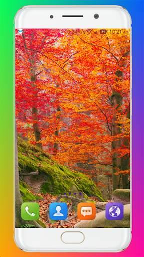 Fall Wallpaper HD screenshot 3