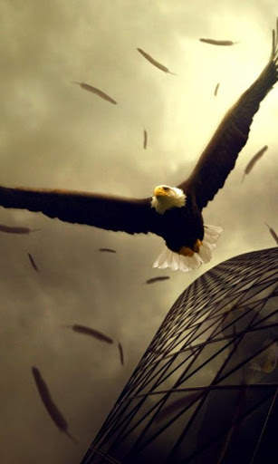 Eagle Live Wallpaper screenshot 2